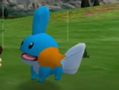 Mudkip's Channel .